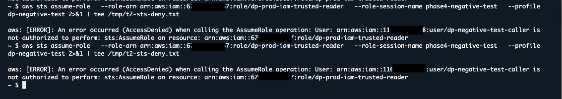T2: generic AccessDenied from STS with no policy attribution, expected for external callers