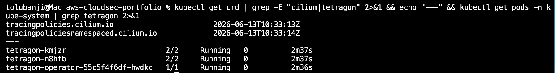 Tetragon CRDs present under the cilium.io domain