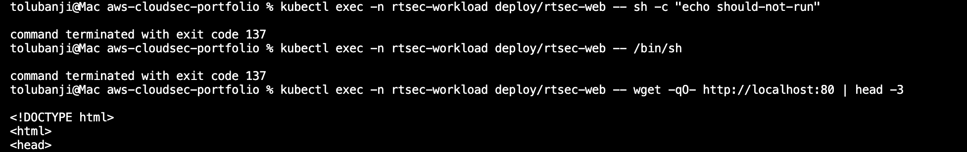 Shell execution blocked: echo returns no output and /bin/sh invocation exits 137, while wget still returns HTML