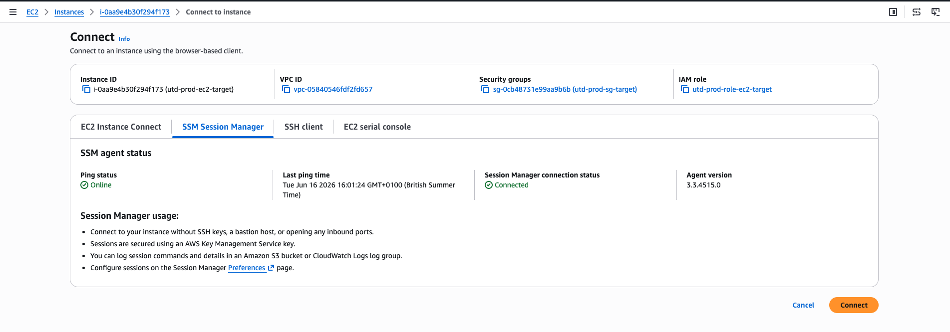 EC2 target instance reachable via SSM Session Manager; agent online, instance running