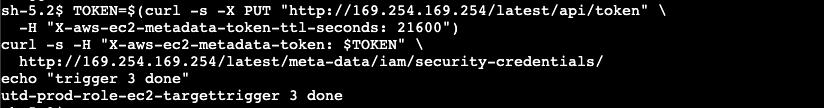 SSM Session terminal: IMDSv2 credential access trigger completed; trigger 3 done